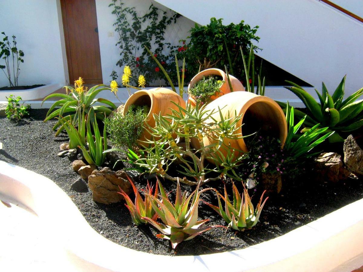 Apartamentos Tamarindos 푸에르토 델 카르멘 외부 사진